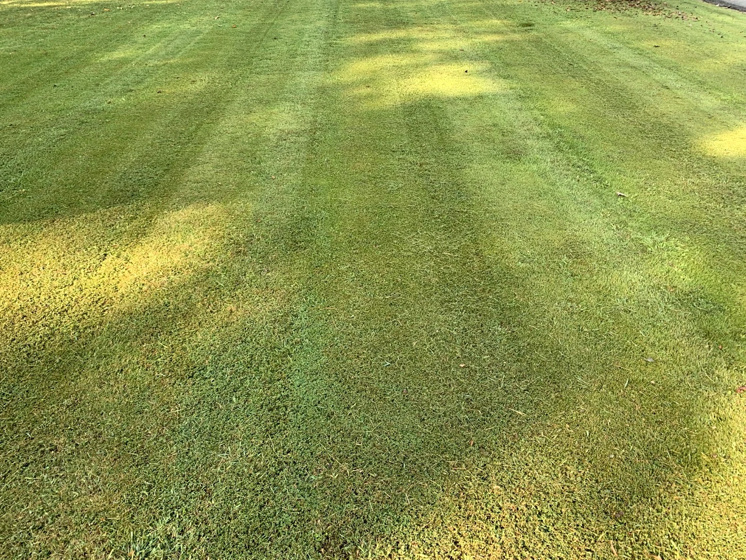 Freshly maintained residential lawn by Mowed Down Lawn Care