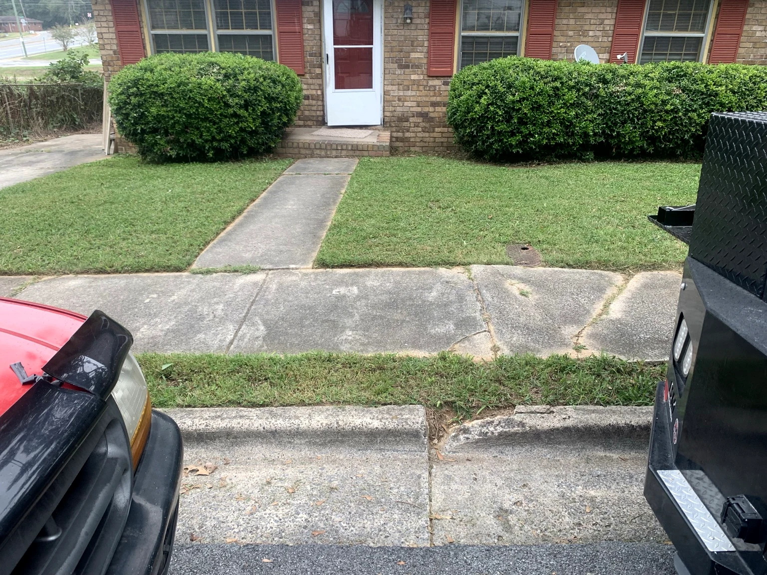 Professionally mowed lawn with a clean finish