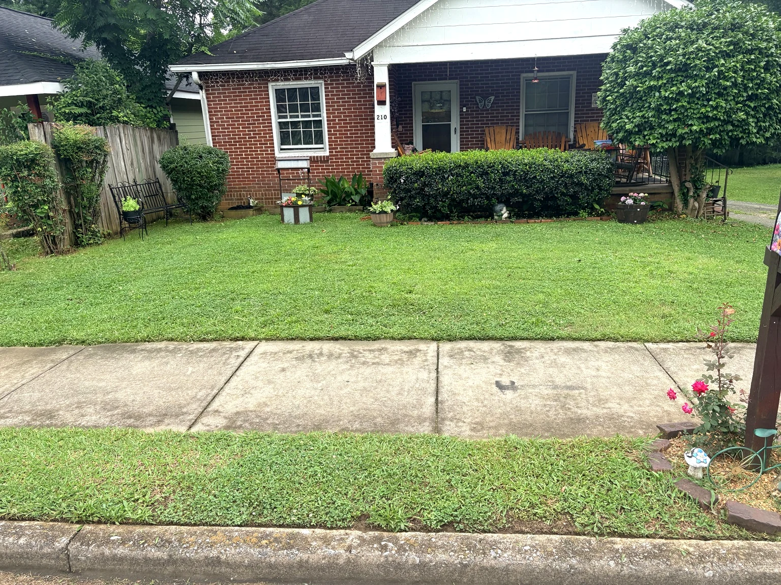 Fresh lawn mowing and edging work